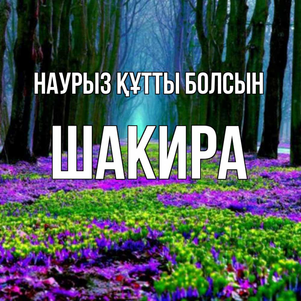 Открытка на каждый день с именем, Шакира Наурыз құтты болсын фиолетовые цветы в лесу 1 Прикольная открытка с пожеланием онлайн скачать бесплатно 