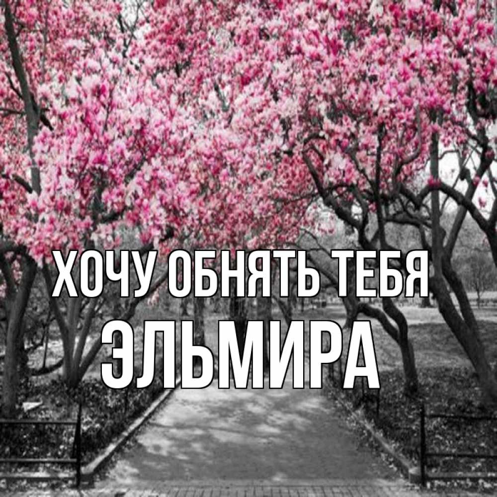 Открытка на каждый день с именем, Эльмира Хочу обнять тебя обработанное фото Прикольная открытка с пожеланием онлайн скачать бесплатно 
