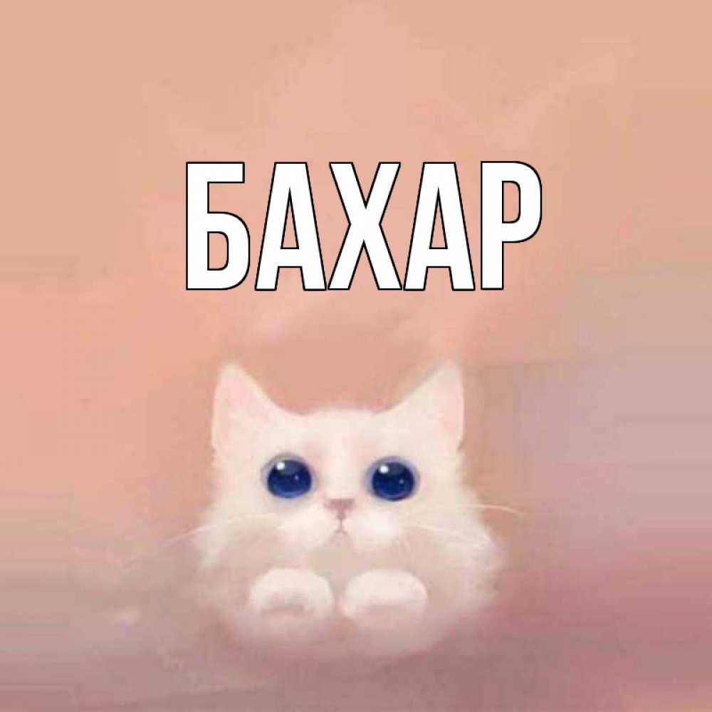 Открытка на каждый день с именем, Бахар Главная котик белый в полете Прикольная открытка с пожеланием онлайн скачать бесплатно 