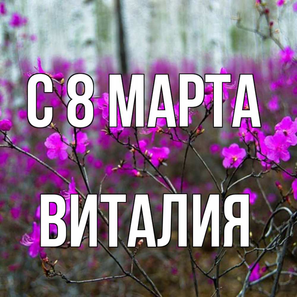 Открытка на каждый день с именем, Виталия С 8 марта дикие цветы Прикольная открытка с пожеланием онлайн скачать бесплатно 