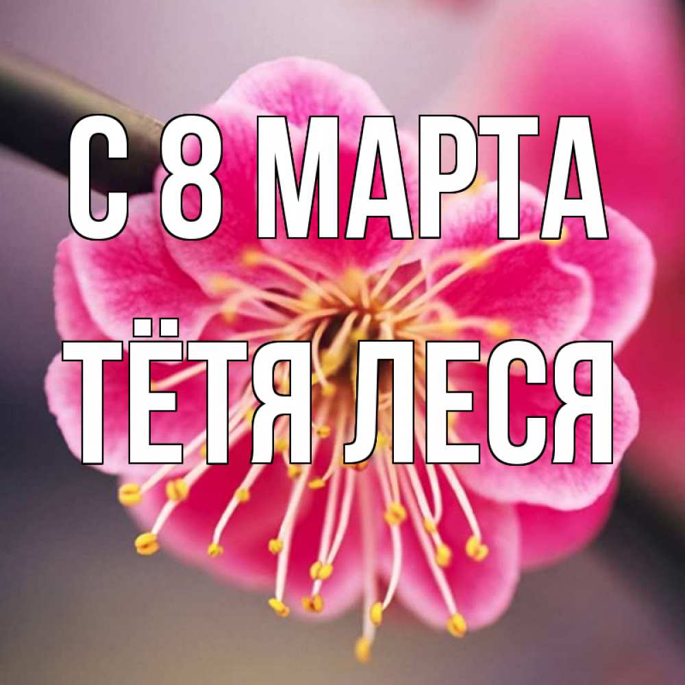 Открытка на каждый день с именем, Тётя-Леся С 8 марта цветы Прикольная открытка с пожеланием онлайн скачать бесплатно 