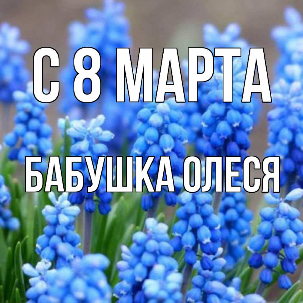 Открытка на каждый день с именем, Бабушка-Олеся С 8 марта Поздравительная открытка для женщин с цветами на праздничную дату Прикольная открытка с пожеланием онлайн скачать бесплатно 