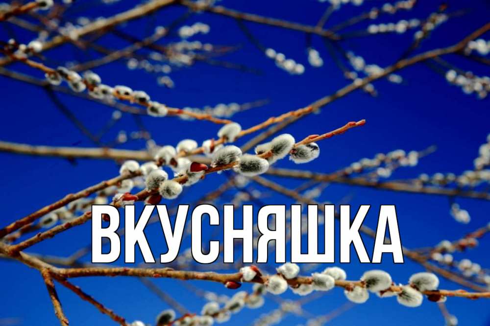 Открытка на каждый день с именем, Вкусняшка Главная верба Прикольная открытка с пожеланием онлайн скачать бесплатно 