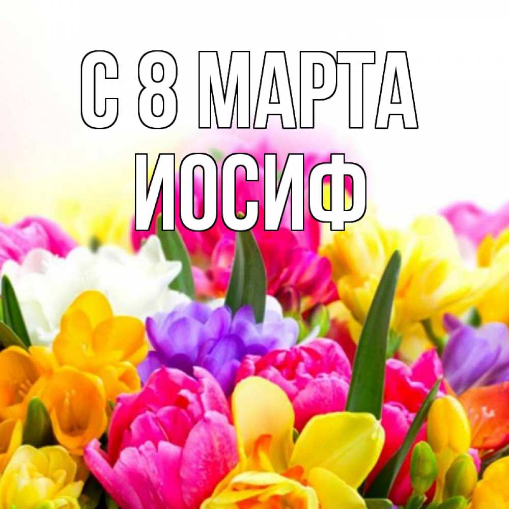 Открытка на каждый день с именем, Иосиф С 8 марта тюльпаны Прикольная открытка с пожеланием онлайн скачать бесплатно 