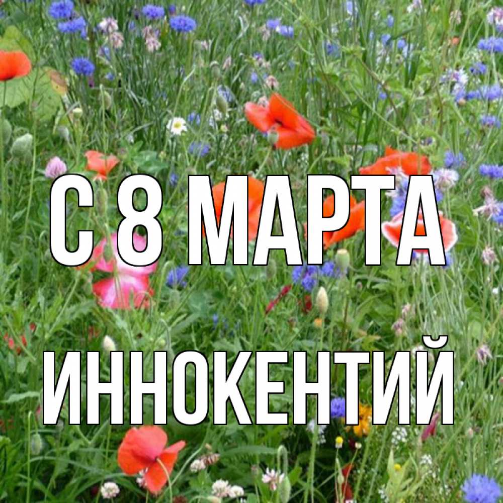Открытка на каждый день с именем, Иннокентий С 8 марта международный женский день 4 Прикольная открытка с пожеланием онлайн скачать бесплатно 