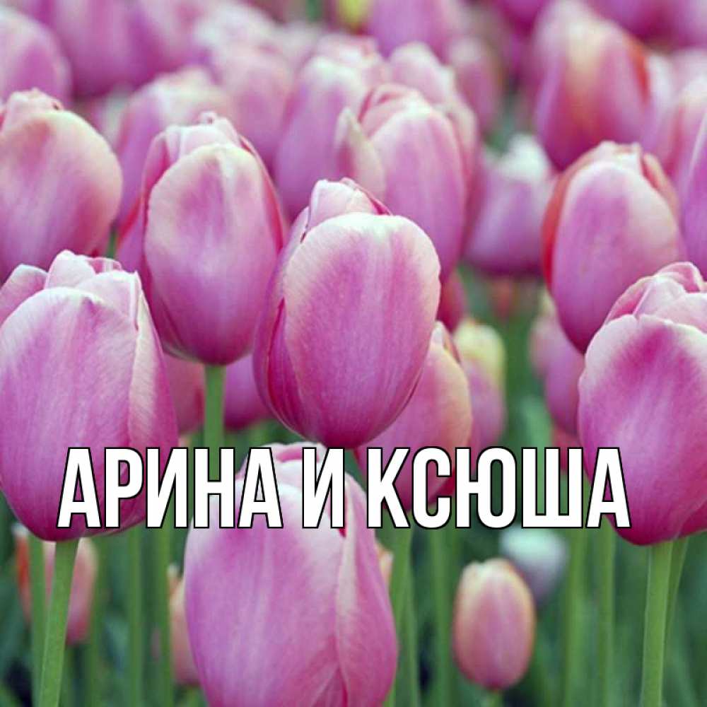 Открытка на каждый день с именем, Арина-и-Ксюша Главная на международный женский день 3 Прикольная открытка с пожеланием онлайн скачать бесплатно 