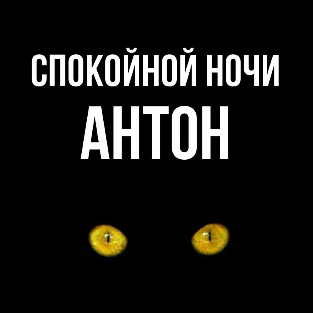 Рабочий, спокойной ночи картинки прикольные антону