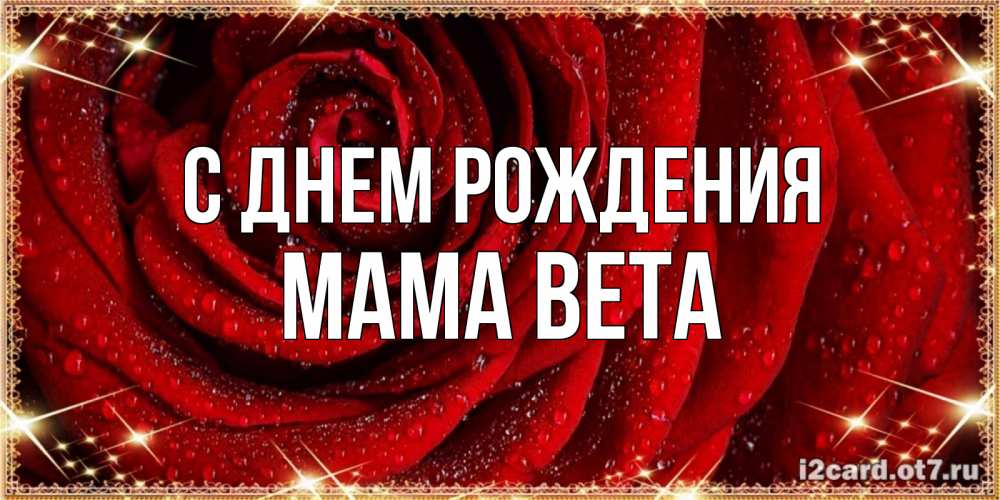 Открытка на каждый день с именем, Мама-Вета С днем рождения роса на розе блестящая в лучах солнца Прикольная открытка с пожеланием онлайн скачать бесплатно 