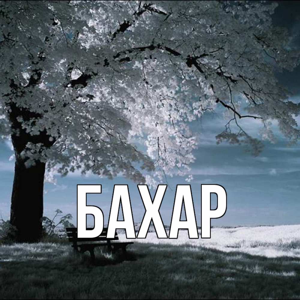 Открытка на каждый день с именем, Бахар Главная дерево Прикольная открытка с пожеланием онлайн скачать бесплатно 