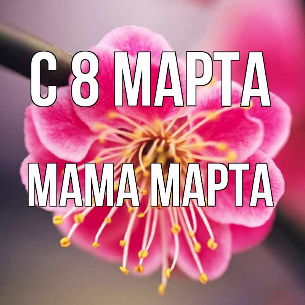 Открытка на каждый день с именем, Мама-Марта С 8 марта цветы Прикольная открытка с пожеланием онлайн скачать бесплатно 