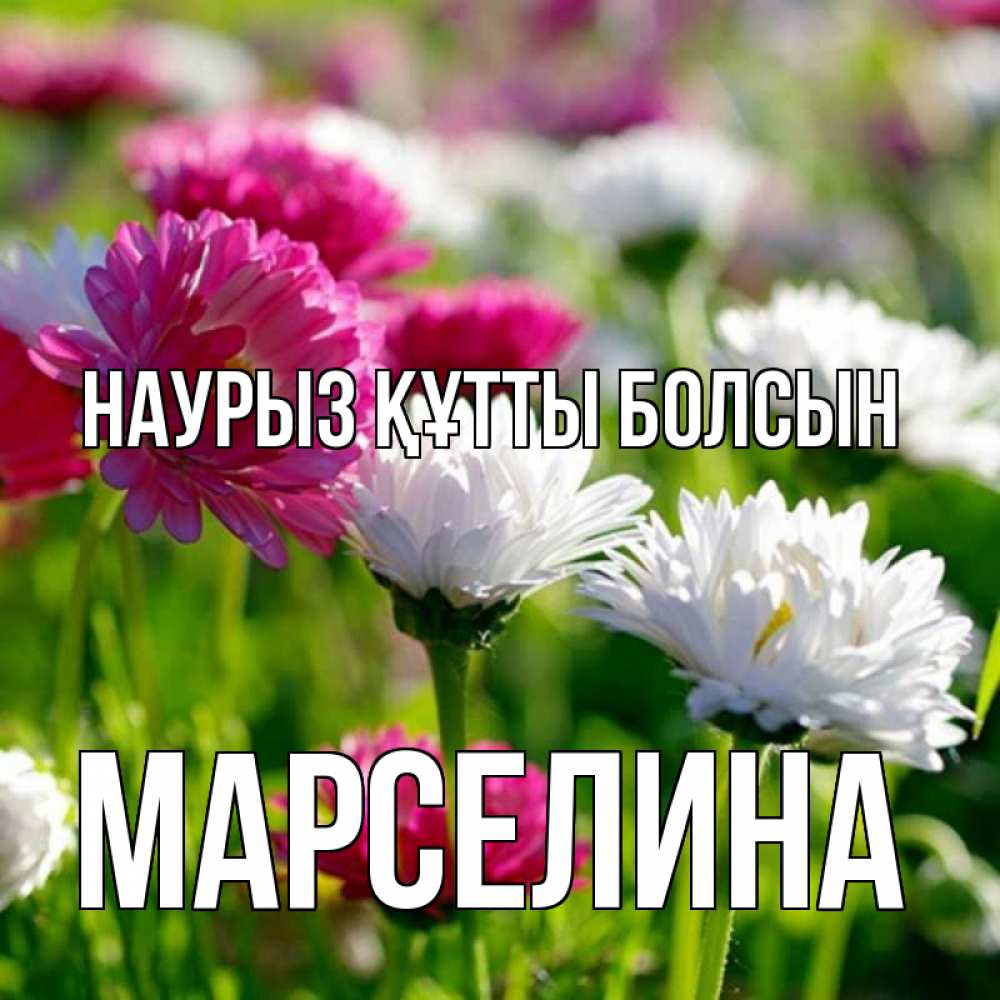Открытка на каждый день с именем, Марселина Наурыз құтты болсын наурыз Прикольная открытка с пожеланием онлайн скачать бесплатно 