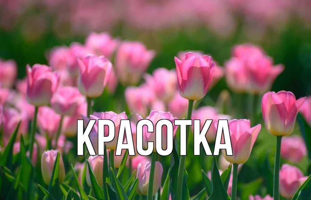 Открытка на каждый день с именем, красотка Главная С 1 мая Прикольная открытка с пожеланием онлайн скачать бесплатно 