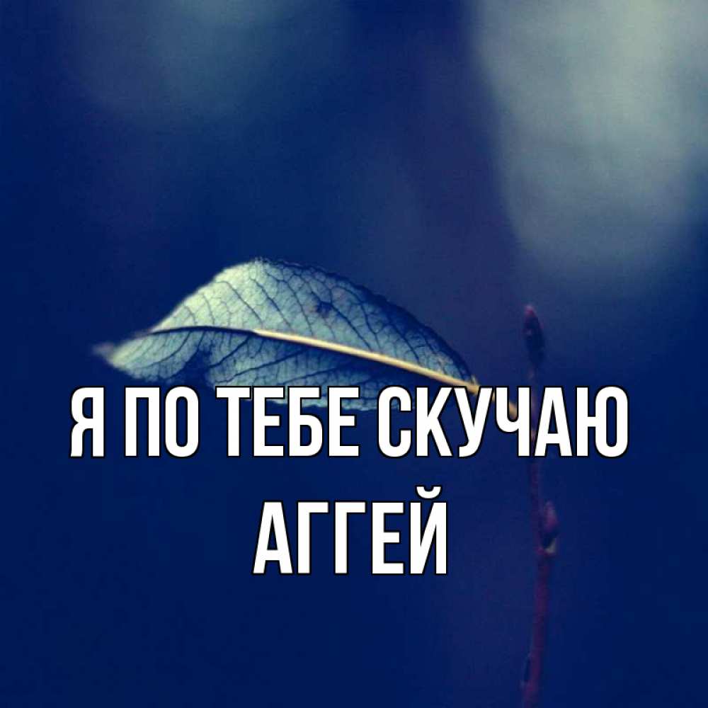 Открытка на каждый день с именем, Аггей Я по тебе скучаю одна ветка 1 Прикольная открытка с пожеланием онлайн скачать бесплатно 