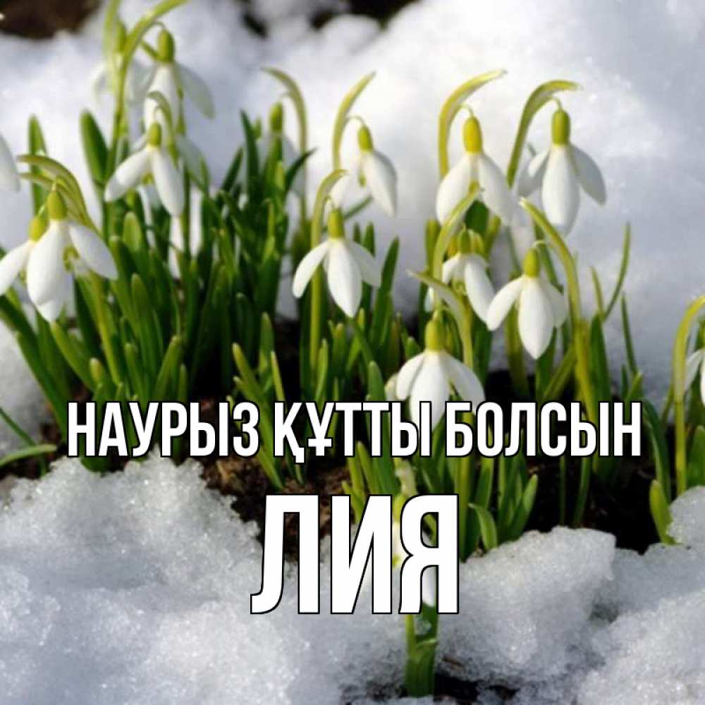 Открытка на каждый день с именем, Лия Наурыз құтты болсын цветы весенние Прикольная открытка с пожеланием онлайн скачать бесплатно 