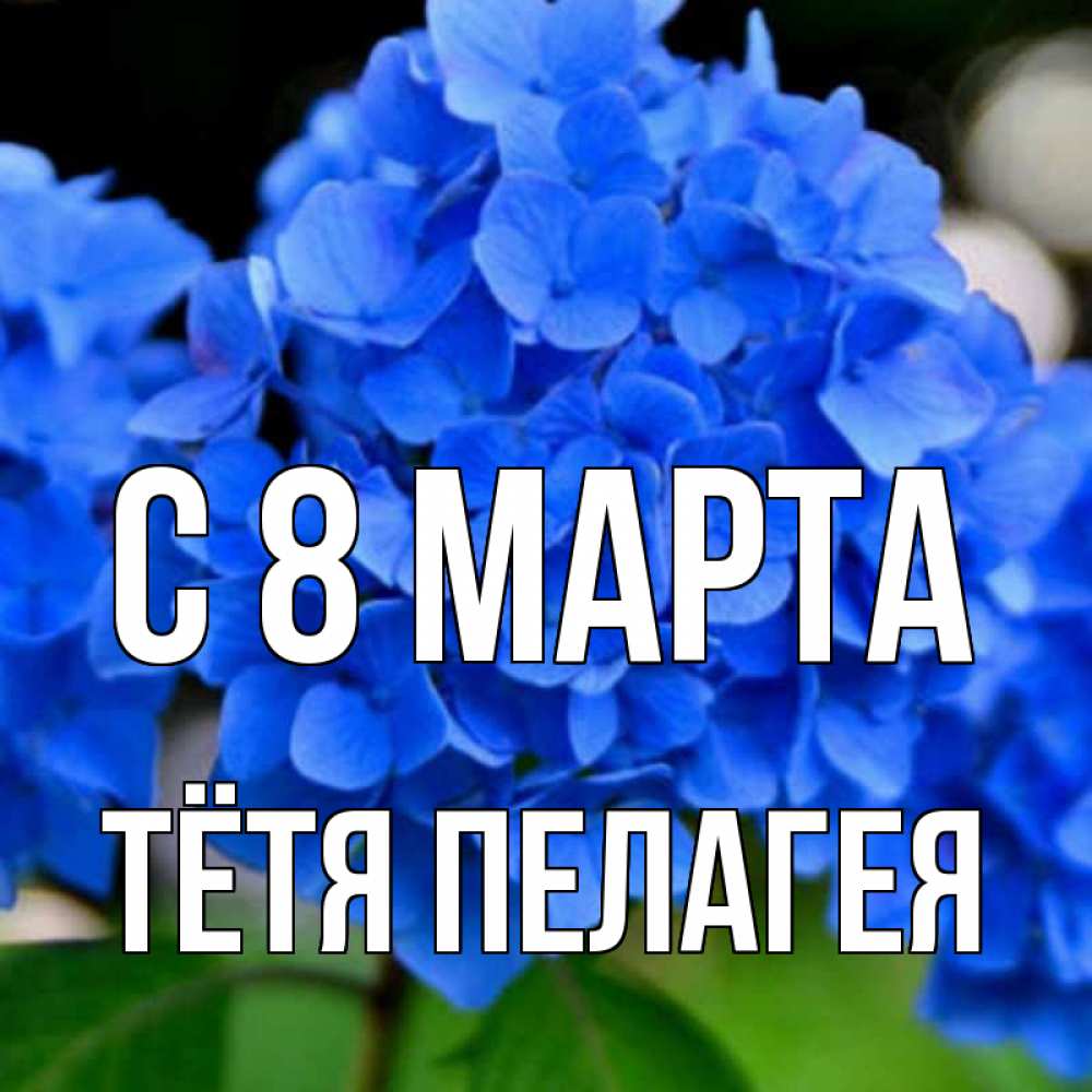 Открытка на каждый день с именем, Тётя-Пелагея С 8 МАРТА синие цветы Прикольная открытка с пожеланием онлайн скачать бесплатно 