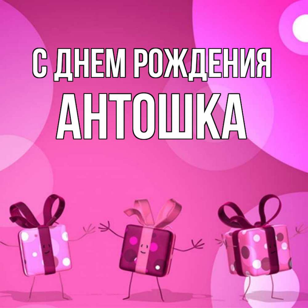 С днем рождения антоша картинки