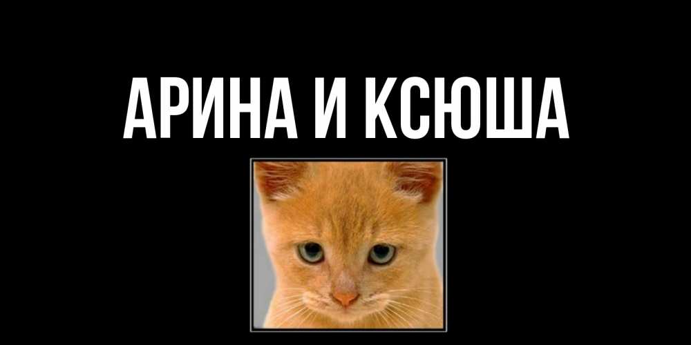 Открытка на каждый день с именем, Арина-и-Ксюша Главная открытки рыжий котенок скучает по тебе Прикольная открытка с пожеланием онлайн скачать бесплатно 