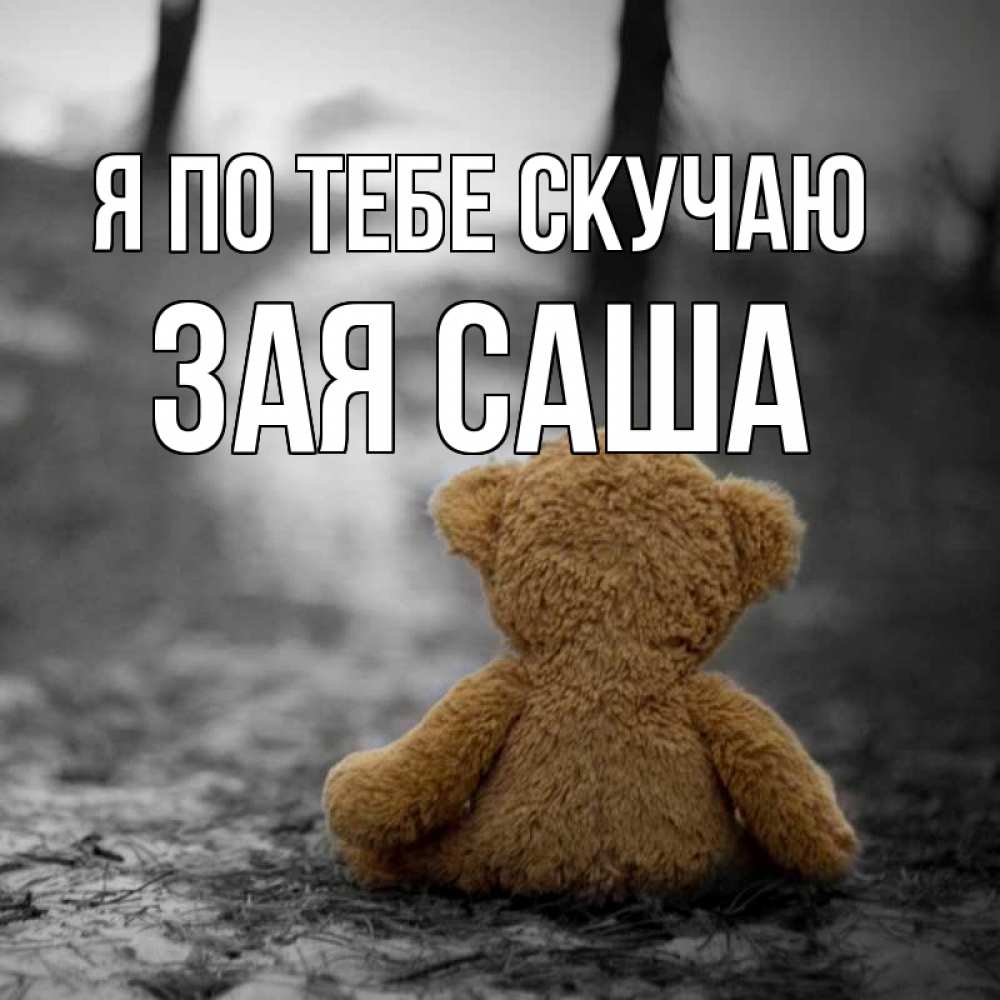 Зая скучает картинки