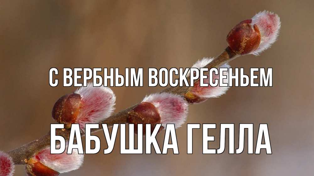 Открытка на каждый день с именем, Бабушка-Гелла С вербным воскресеньем верба Прикольная открытка с пожеланием онлайн скачать бесплатно 