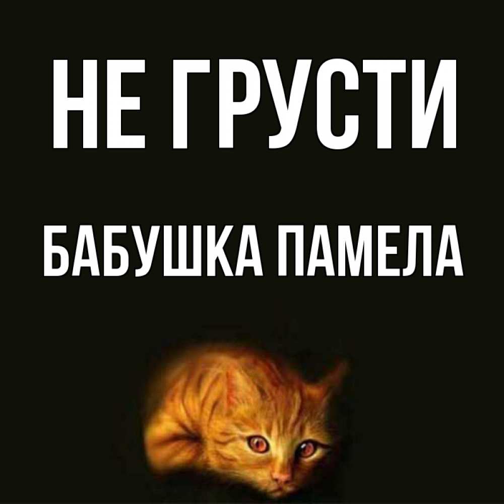 Открытка на каждый день с именем, Бабушка-Памела Не грусти лежащий кот в темноте Прикольная открытка с пожеланием онлайн скачать бесплатно 
