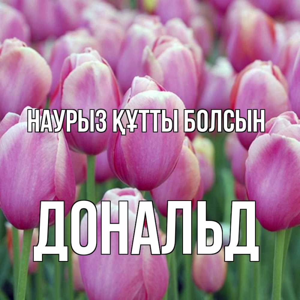 Открытка на каждый день с именем, Дональд Наурыз құтты болсын на наурыз  день 3 Прикольная открытка с пожеланием онлайн скачать бесплатно 