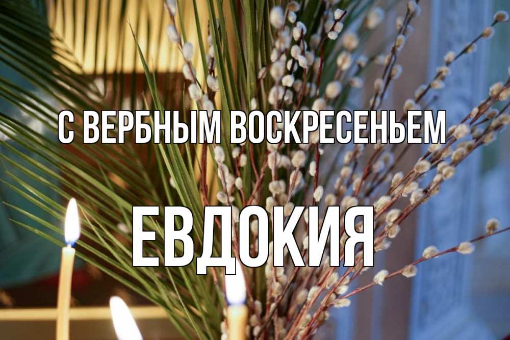Открытка на каждый день с именем, Евдокия С вербным воскресеньем верба Прикольная открытка с пожеланием онлайн скачать бесплатно 