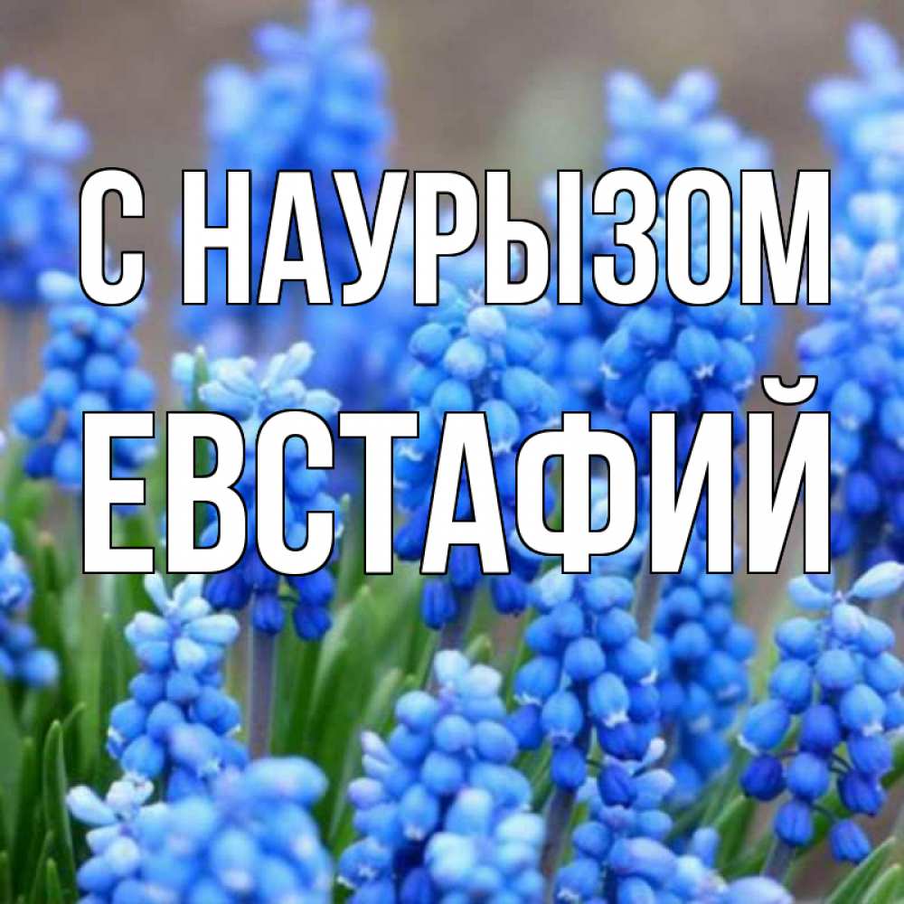 Открытка на каждый день с именем, Евстафий С наурызом Поздравительная открытка для женщин с цветами на праздничную дату Прикольная открытка с пожеланием онлайн скачать бесплатно 