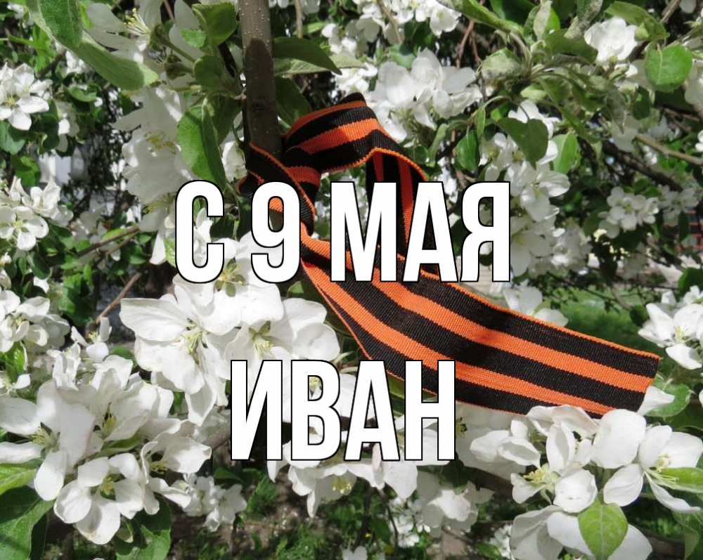 Открытка на каждый день с именем, Иван С 9 мая 9 мая Прикольная открытка с пожеланием онлайн скачать бесплатно 