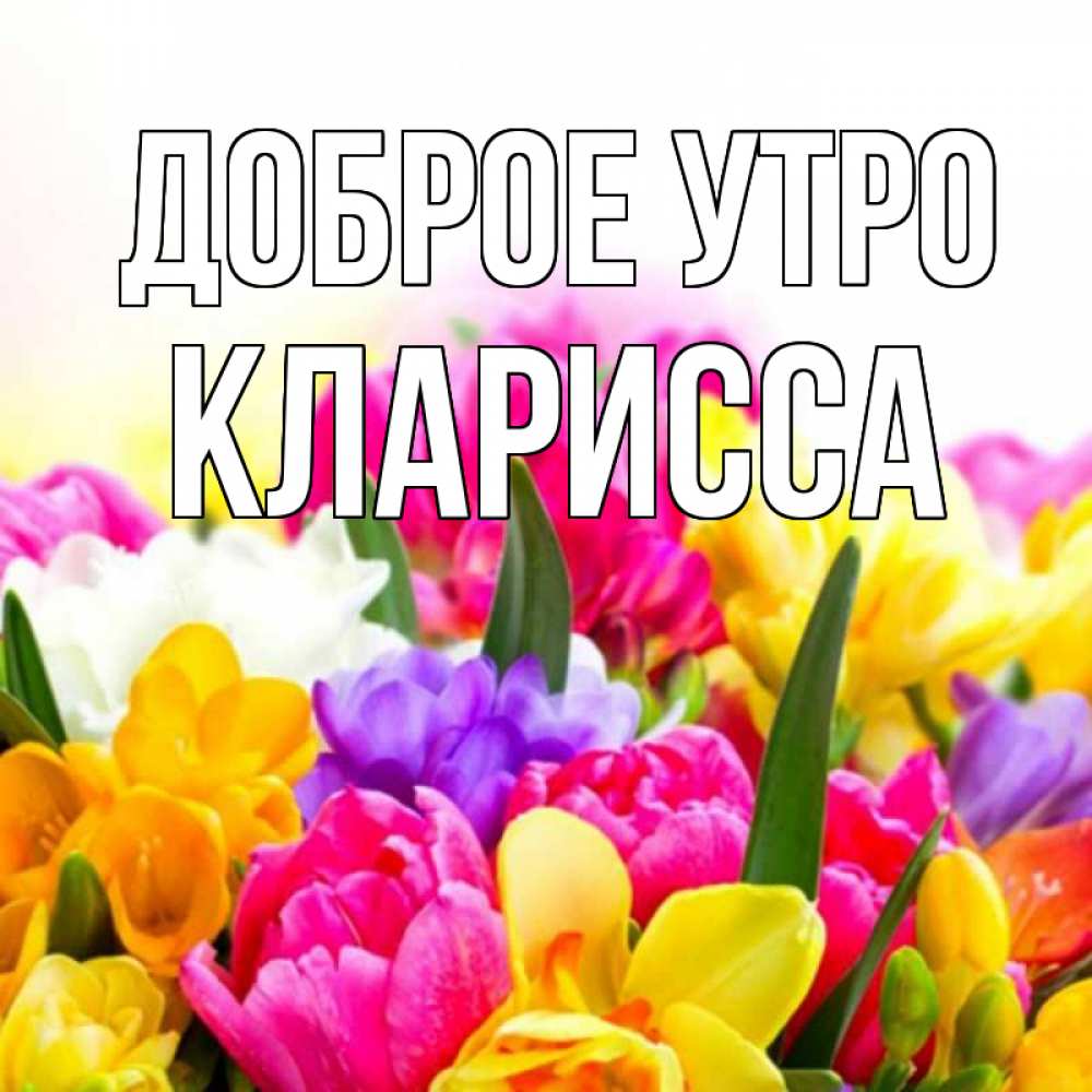 Открытка на каждый день с именем, Кларисса Доброе утро создать открытку со свое подписью Прикольная открытка с пожеланием онлайн скачать бесплатно 