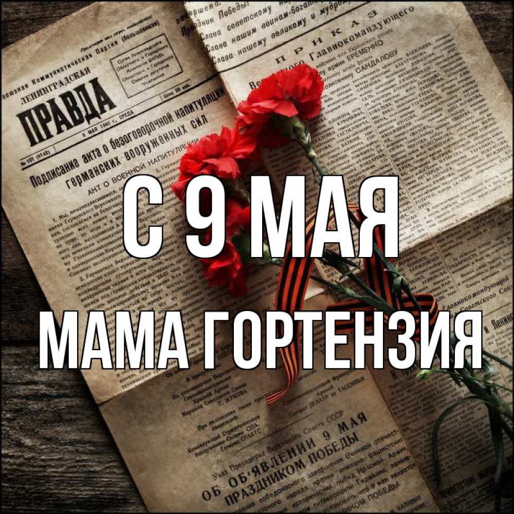 Открытка на каждый день с именем, Мама-Гортензия С 9 мая 9 мая Прикольная открытка с пожеланием онлайн скачать бесплатно 