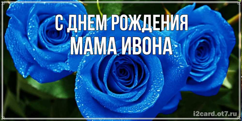 Открытка на каждый день с именем, Мама-Ивона С днем рождения розы с синим цветом Прикольная открытка с пожеланием онлайн скачать бесплатно 