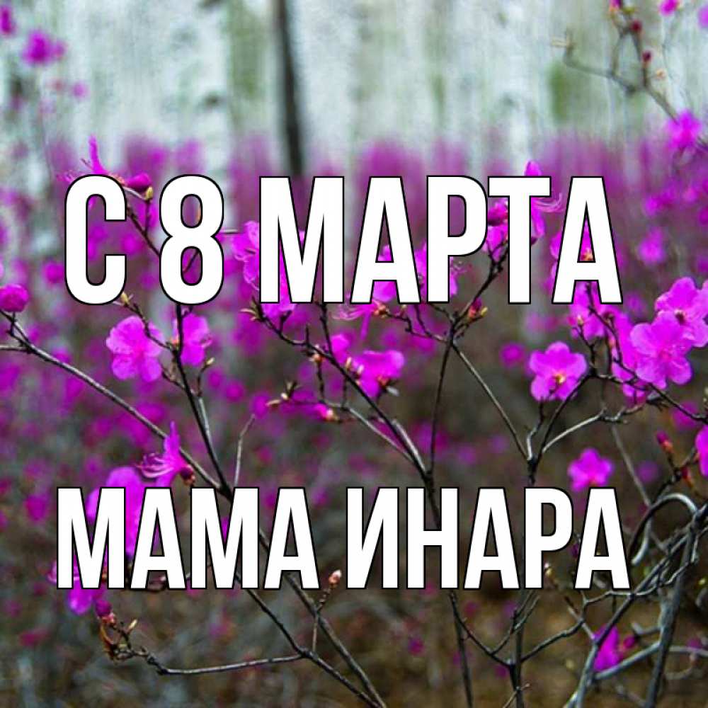 Открытка на каждый день с именем, Мама-Инара С 8 МАРТА дикие цветы Прикольная открытка с пожеланием онлайн скачать бесплатно 