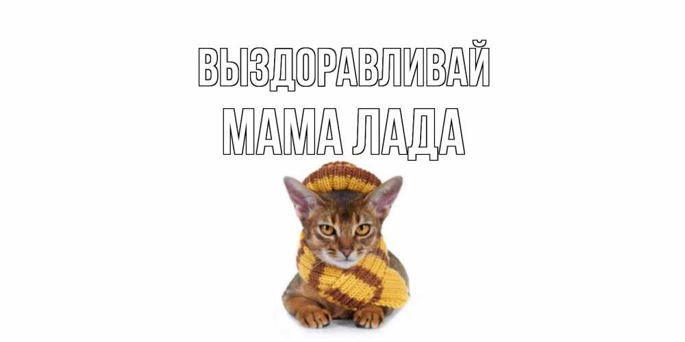 Открытка на каждый день с именем, Мама-Лада Выздоравливай родные не болейте Прикольная открытка с пожеланием онлайн скачать бесплатно 