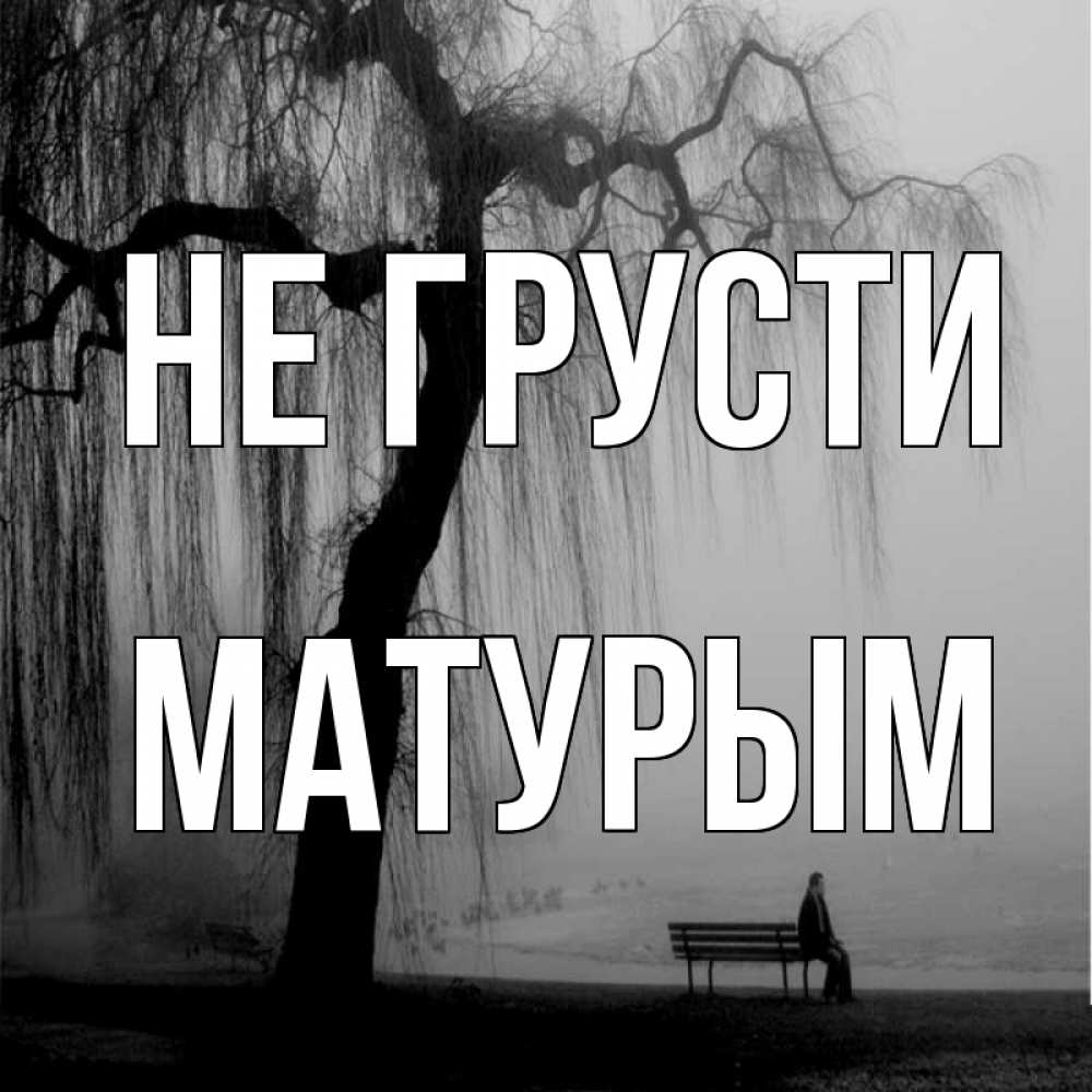 Открытка на каждый день с именем, Матурым Не грусти висящие ветки дерева и лавочка под деревом Прикольная открытка с пожеланием онлайн скачать бесплатно 