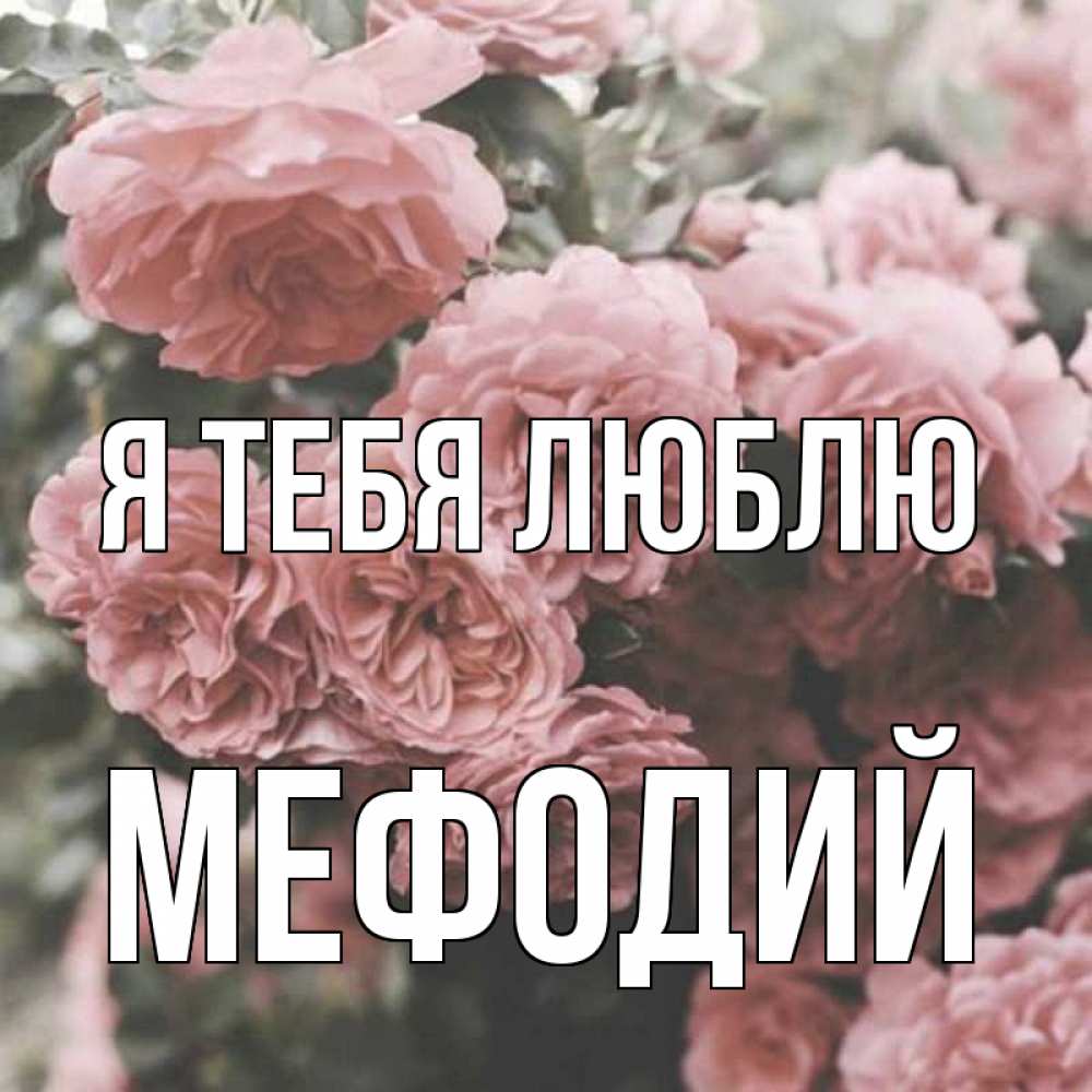 Открытка на каждый день с именем, Мефодий Я тебя люблю розы 3 Прикольная открытка с пожеланием онлайн скачать бесплатно 