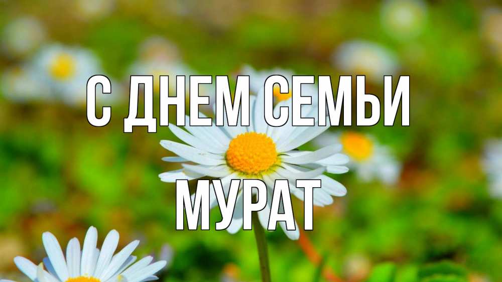 Открытка на каждый день с именем, Мурат С днем семьи с днем семьи Прикольная открытка с пожеланием онлайн скачать бесплатно 