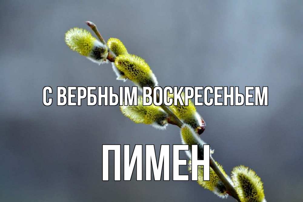 Открытка на каждый день с именем, Пимен С вербным воскресеньем верба Прикольная открытка с пожеланием онлайн скачать бесплатно 