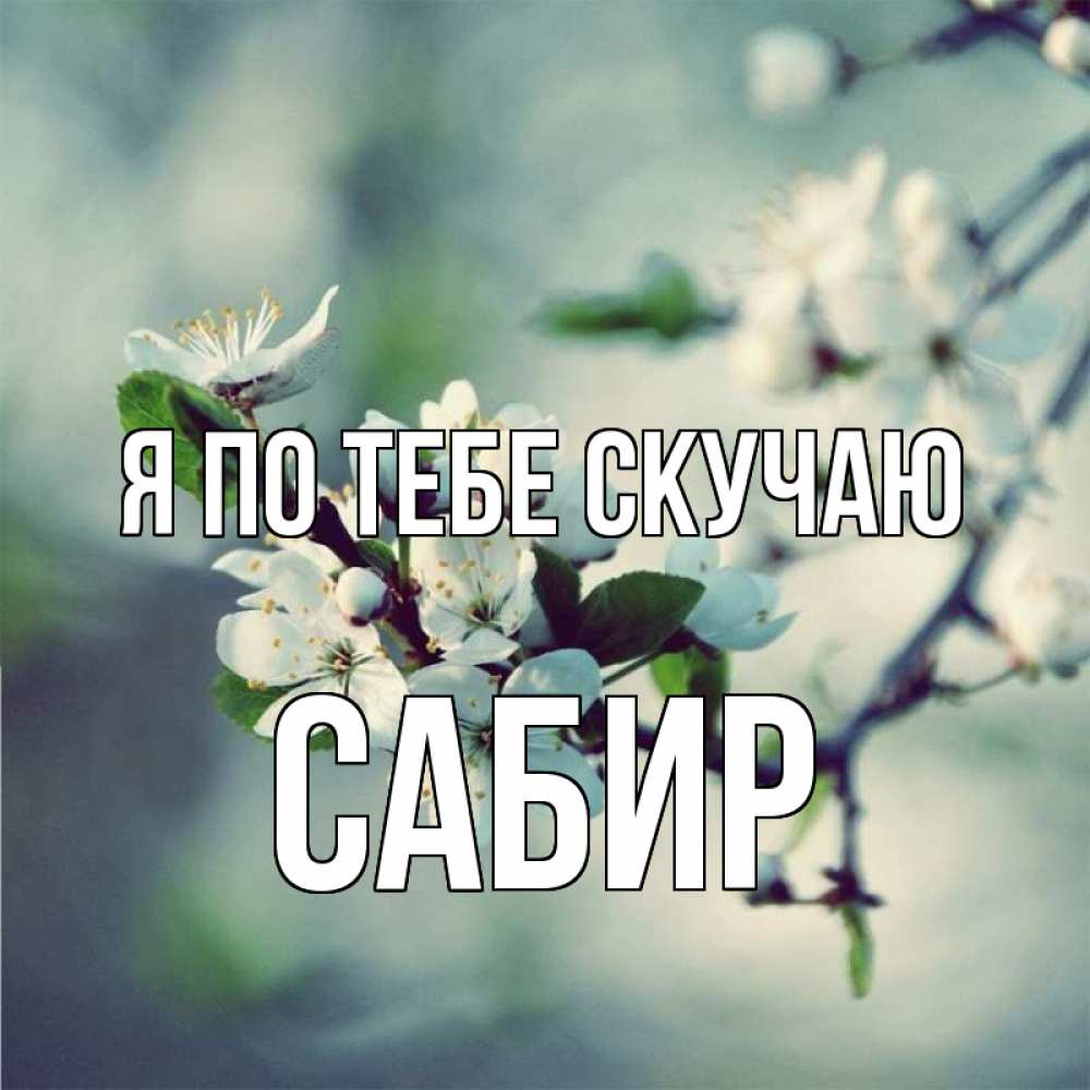 Открытка на каждый день с именем, Сабир Я по тебе скучаю весна Прикольная открытка с пожеланием онлайн скачать бесплатно 