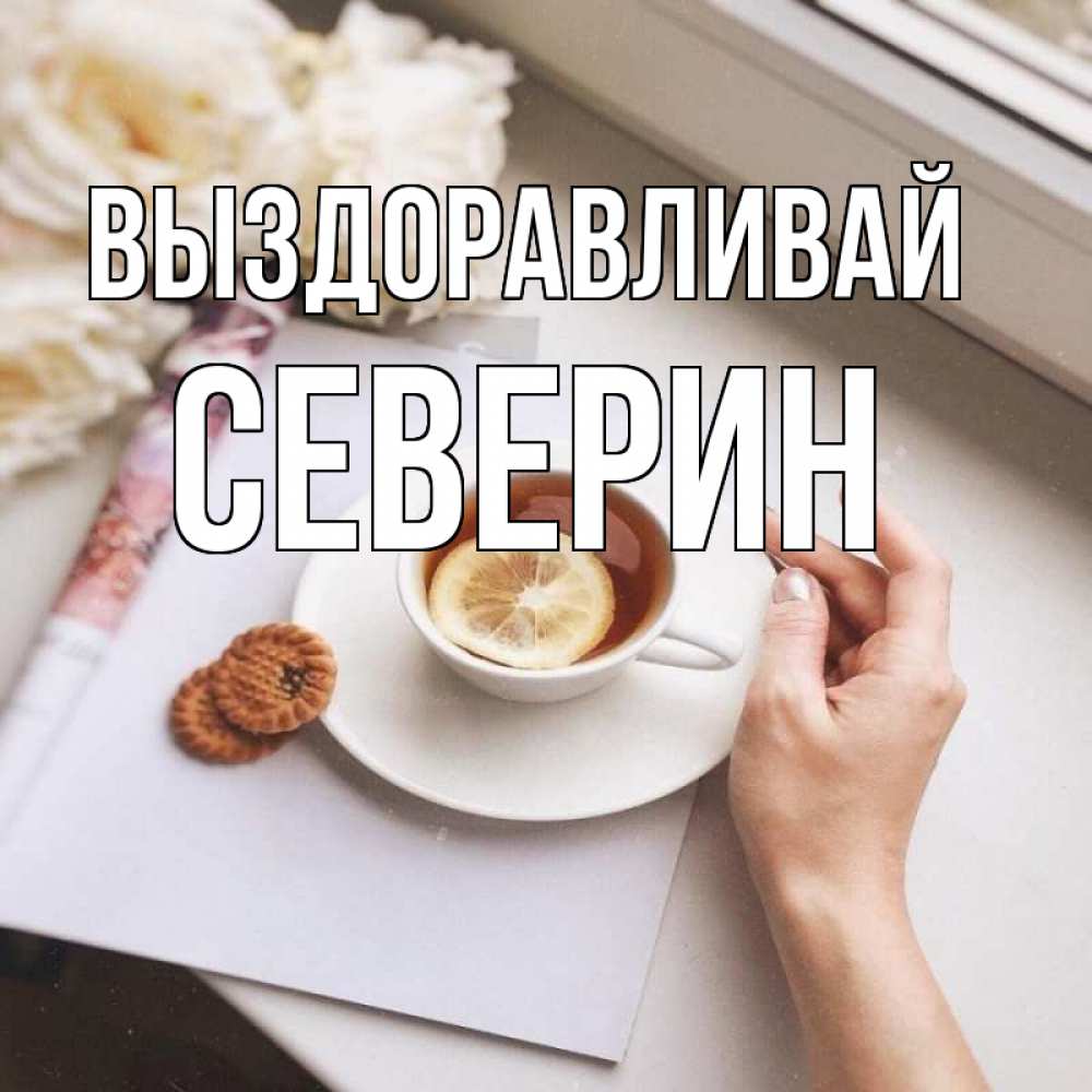 Открытка на каждый день с именем, Северин Выздоравливай и печеньками Прикольная открытка с пожеланием онлайн скачать бесплатно 