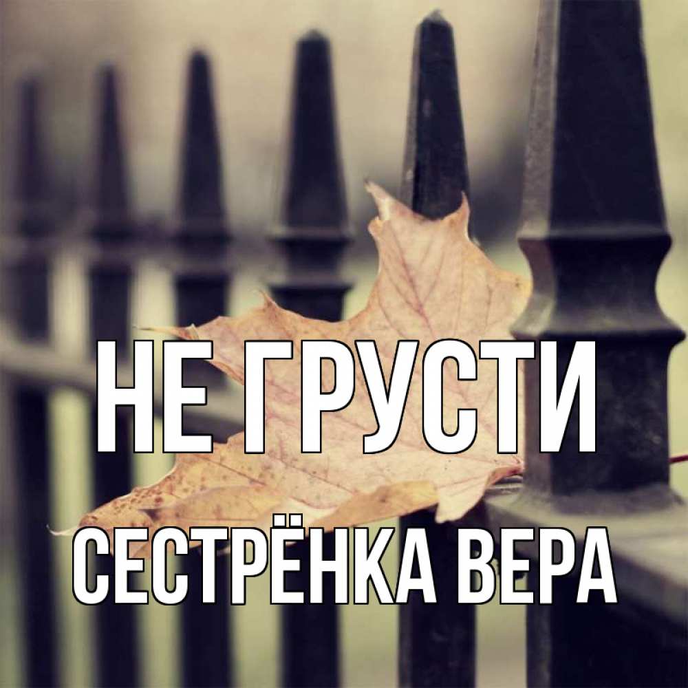 Открытка на каждый день с именем, Сестрёнка-Вера Не грусти лист клена Прикольная открытка с пожеланием онлайн скачать бесплатно 