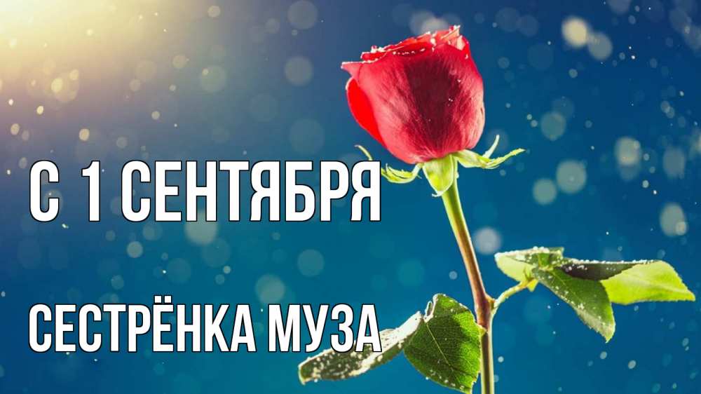 Открытка на каждый день с именем, Сестрёнка-Муза С 1 сентября с днем знаний Прикольная открытка с пожеланием онлайн скачать бесплатно 