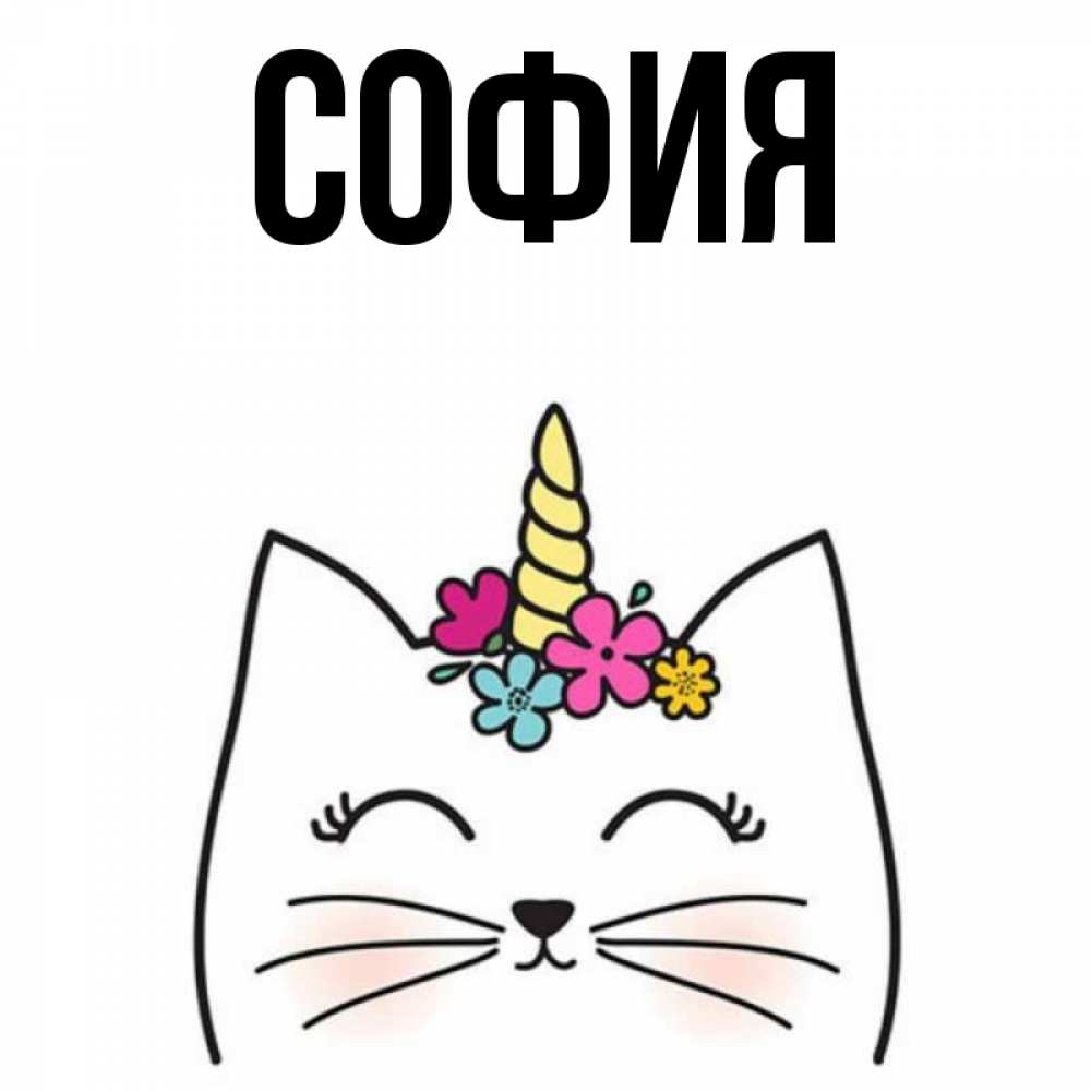 Открытка на каждый день с именем, София Главная милый кот с одним рожком Прикольная открытка с пожеланием онлайн скачать бесплатно 