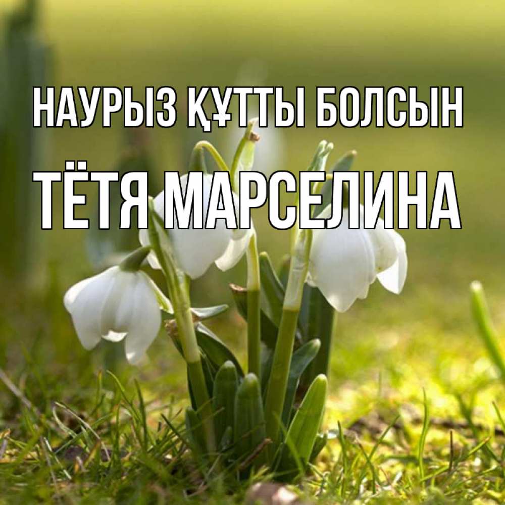 Открытка на каждый день с именем, Тётя-Марселина Наурыз құтты болсын ранние цветы 2 Прикольная открытка с пожеланием онлайн скачать бесплатно 