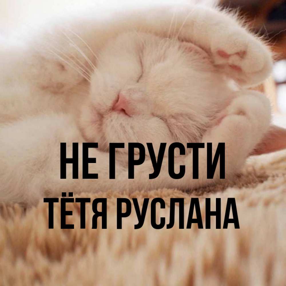 Открытка на каждый день с именем, Тётя-Руслана Не грусти Котенок спит Прикольная открытка с пожеланием онлайн скачать бесплатно 