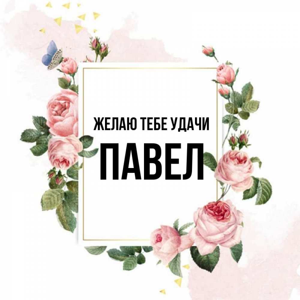 Открытка на каждый день с именем, Павел Желаю тебе удачи розовые розы Прикольная открытка с пожеланием онлайн скачать бесплатно 