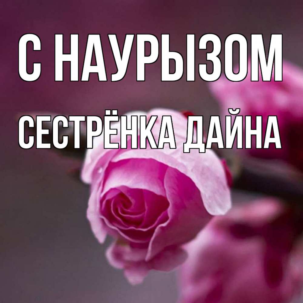 Открытка на каждый день с именем, Сестрёнка-Дайна С наурызом весна Прикольная открытка с пожеланием онлайн скачать бесплатно 