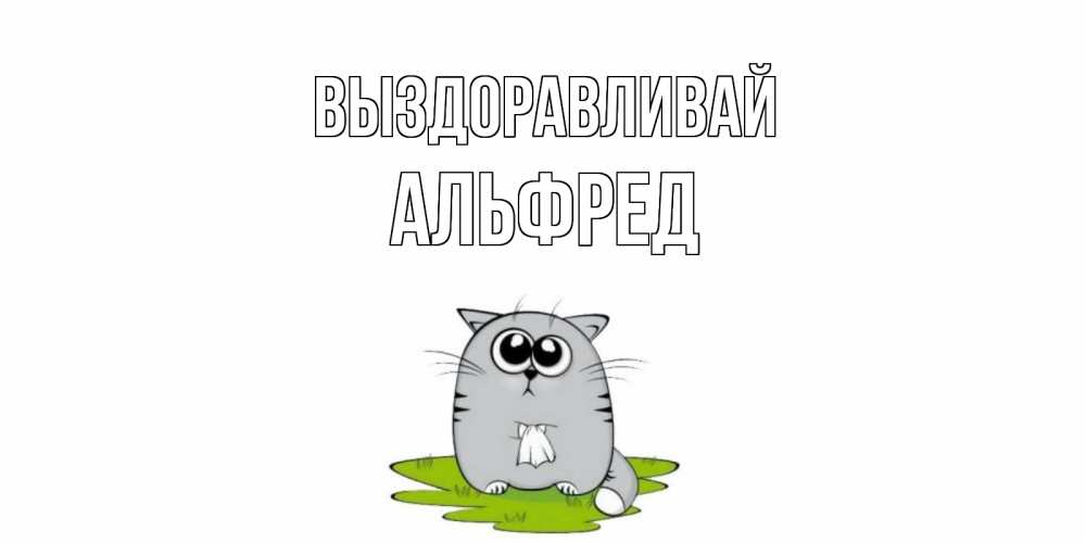 Открытка на каждый день с именем, Альфред Выздоравливай кот и открытки про выздоровление Прикольная открытка с пожеланием онлайн скачать бесплатно 