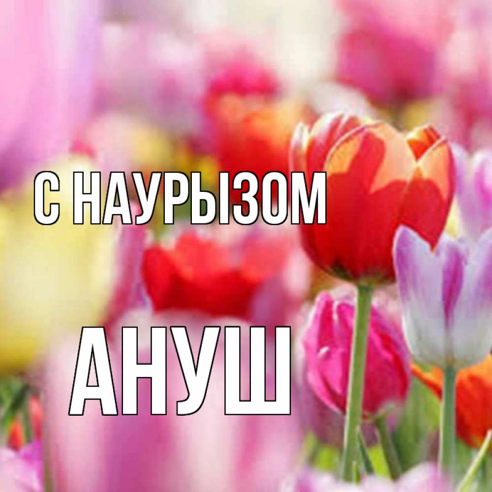 Открытка на каждый день с именем, Ануш С наурызом праздник весны наурыз 67 Прикольная открытка с пожеланием онлайн скачать бесплатно 