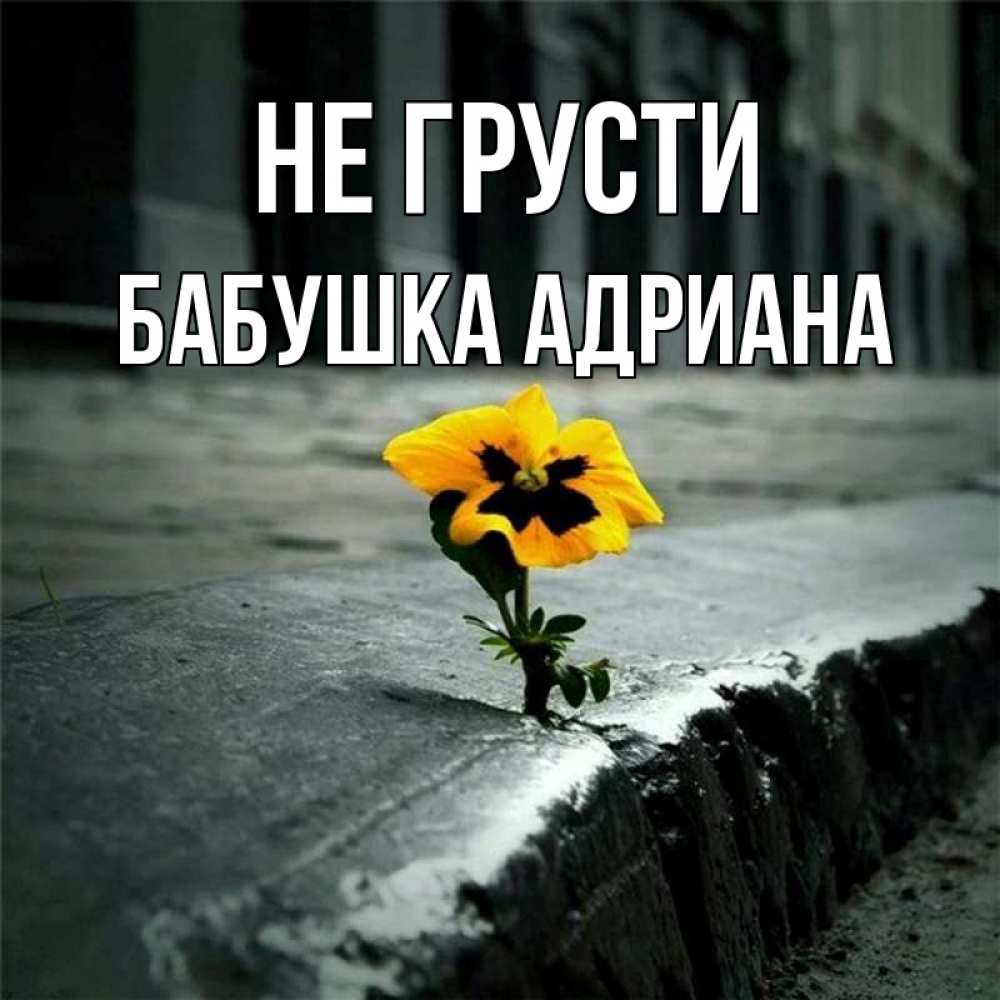 Открытка на каждый день с именем, Бабушка-Адриана Не грусти не сдавайся Прикольная открытка с пожеланием онлайн скачать бесплатно 