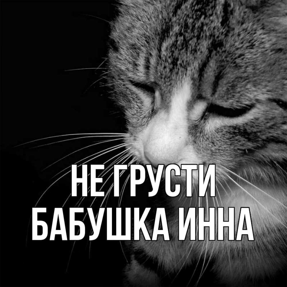 Открытка на каждый день с именем, Бабушка-Инна Не грусти грустный котик Прикольная открытка с пожеланием онлайн скачать бесплатно 